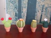 Mini cactus em crochê